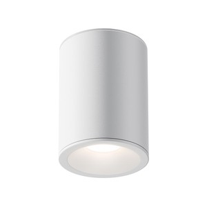 Светильник накладной Maytoni C029CL-01W